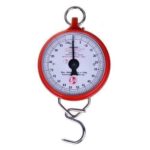 Hanson Original Weighing Scale Hook Type 100Kg